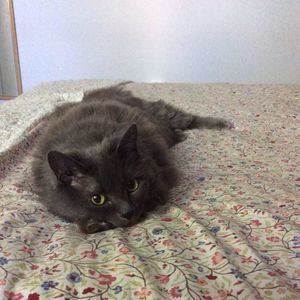 Meet your Posher, Becca